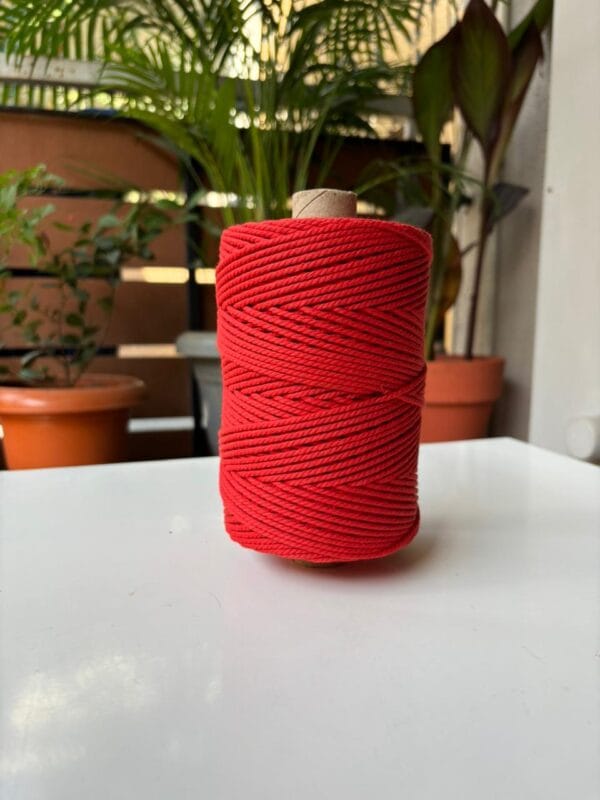 New Red 2mm Twisted