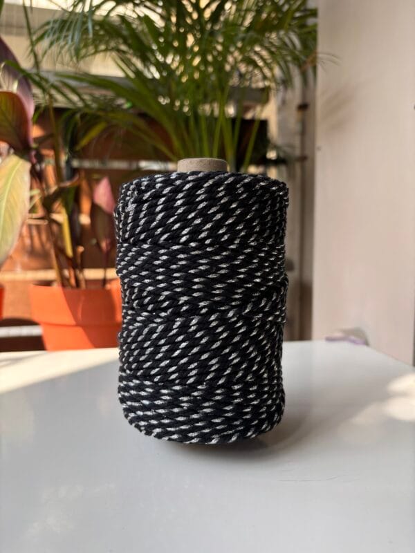Black with Silver Zari 3mm Twisted